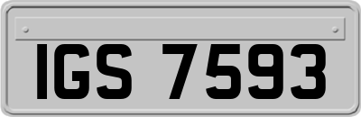 IGS7593