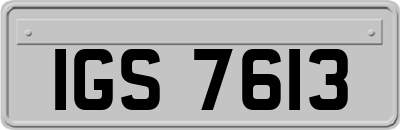 IGS7613