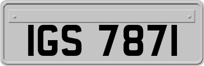 IGS7871