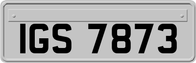 IGS7873