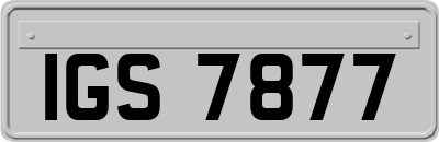 IGS7877