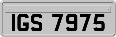 IGS7975
