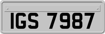 IGS7987