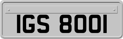 IGS8001
