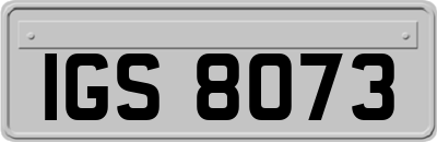 IGS8073