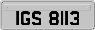 IGS8113