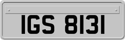 IGS8131