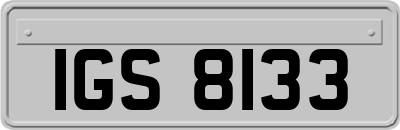 IGS8133