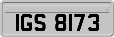 IGS8173