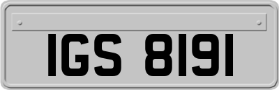 IGS8191