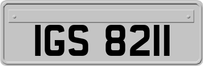IGS8211