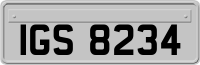 IGS8234