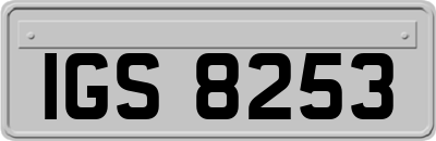 IGS8253