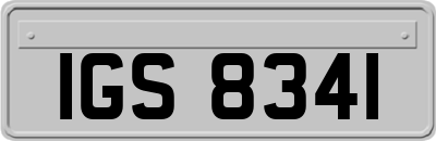 IGS8341