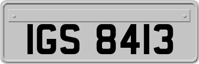 IGS8413