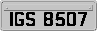 IGS8507