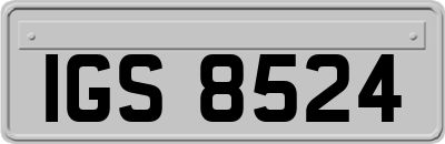 IGS8524
