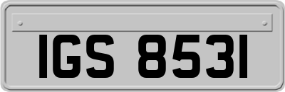 IGS8531