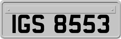 IGS8553