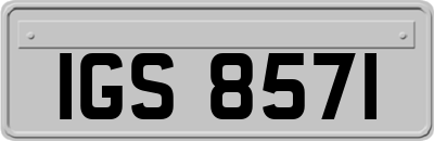 IGS8571