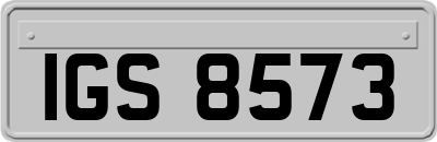 IGS8573