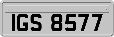 IGS8577