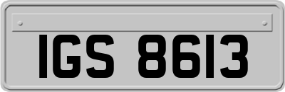 IGS8613