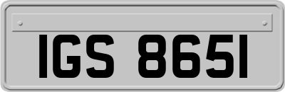 IGS8651