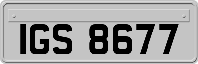 IGS8677