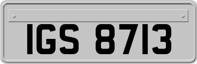 IGS8713