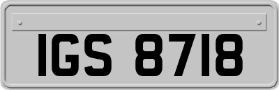 IGS8718