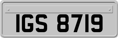 IGS8719