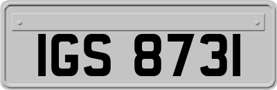 IGS8731