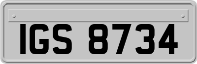 IGS8734