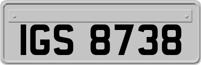 IGS8738
