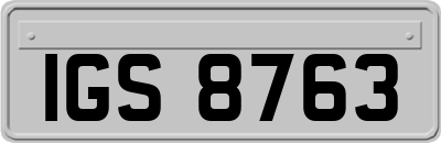 IGS8763