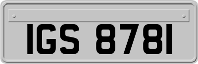 IGS8781