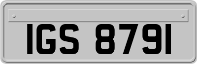 IGS8791