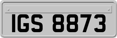 IGS8873