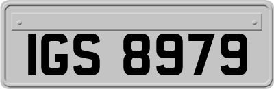 IGS8979