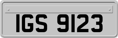 IGS9123