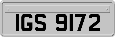 IGS9172