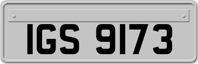 IGS9173