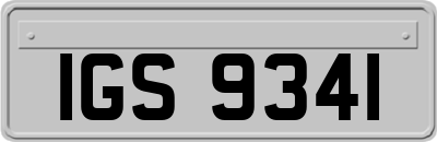 IGS9341