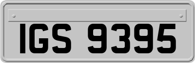 IGS9395
