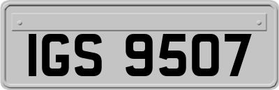 IGS9507