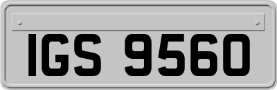 IGS9560