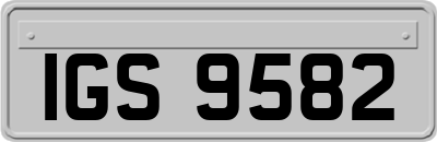 IGS9582