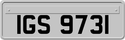 IGS9731