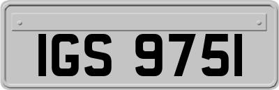 IGS9751